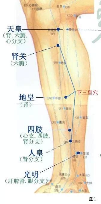 下三皇穴位|下三皇：补肾强身的要穴 